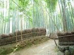 岚山