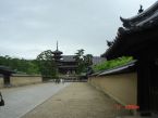 唐招提寺 (1)
