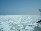DSCF0069